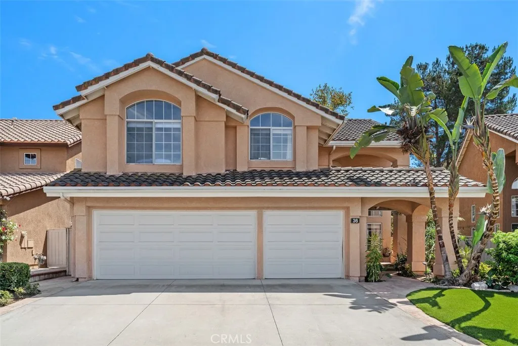 36 Tanglewood