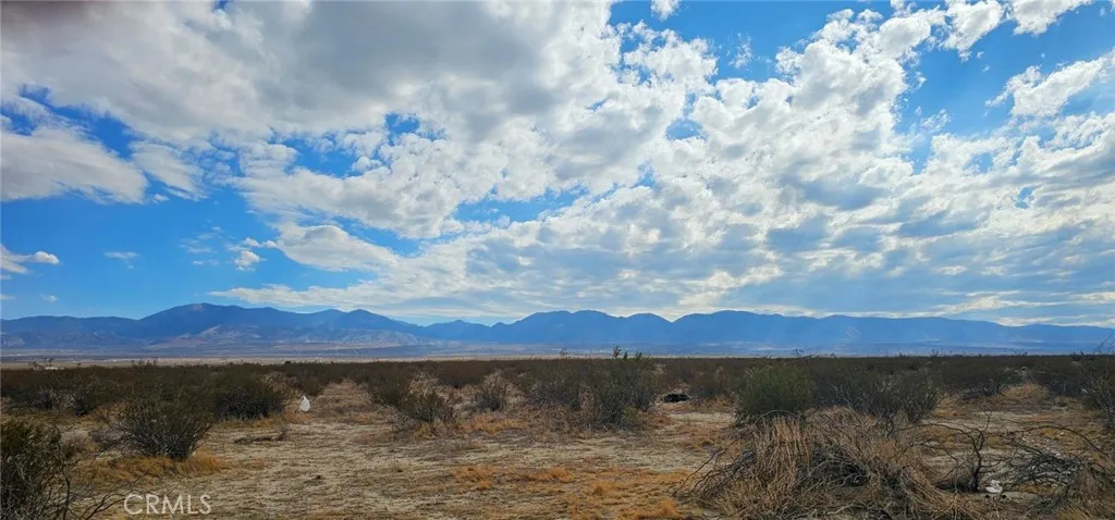 Pearblossom, CA 93553