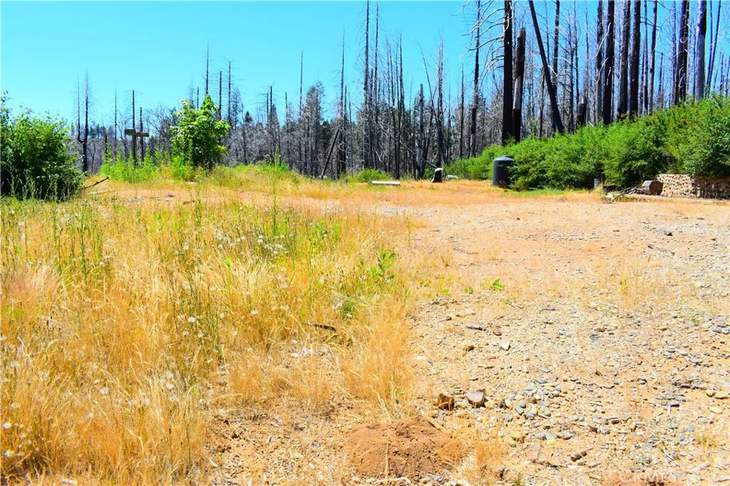 Berry Creek, CA 95916