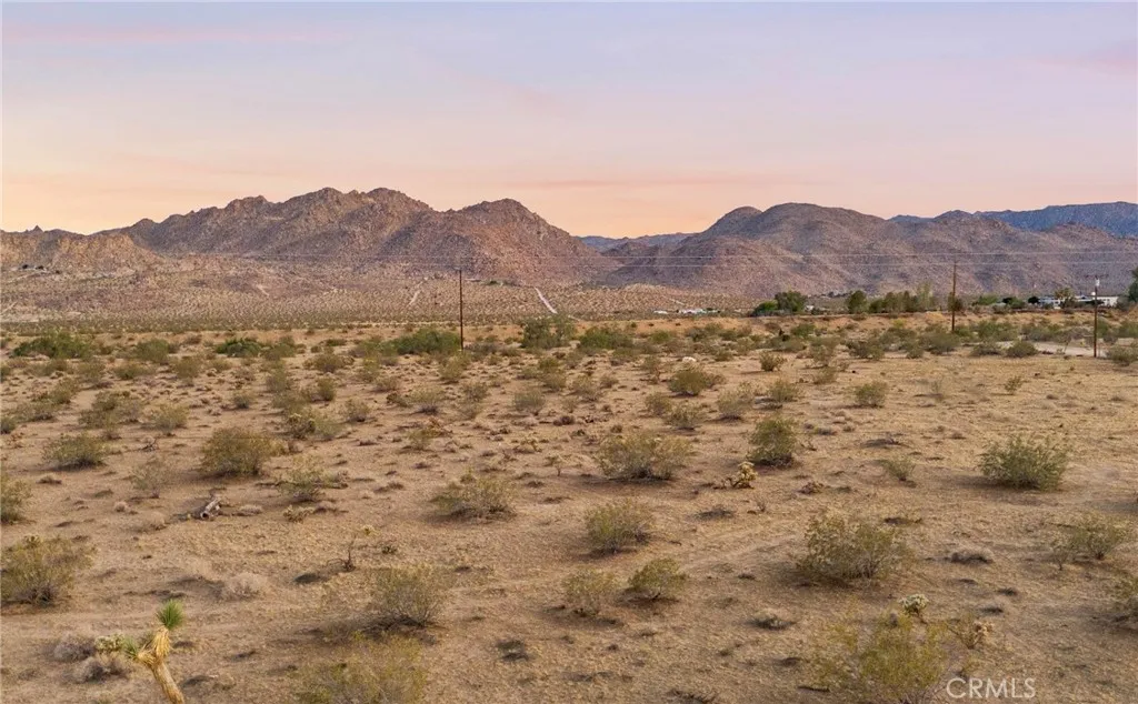 Joshua Tree, CA 92252
