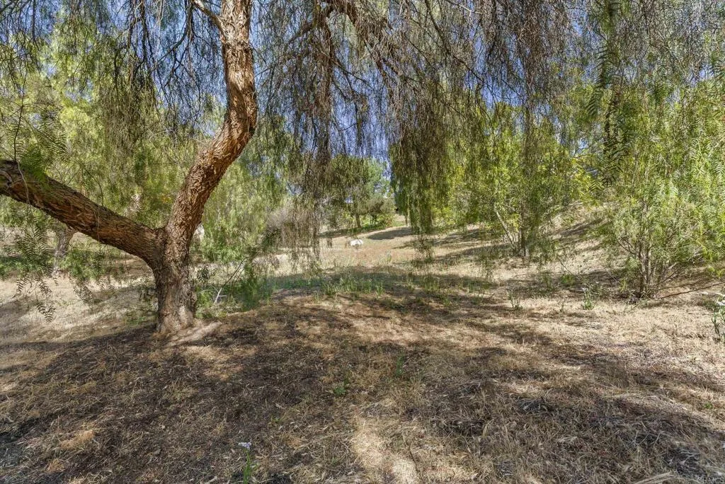https://cdn.realtyfeed.com/cdn/127/307067171/733f742ef922aae48674982f2ff98d92.webp