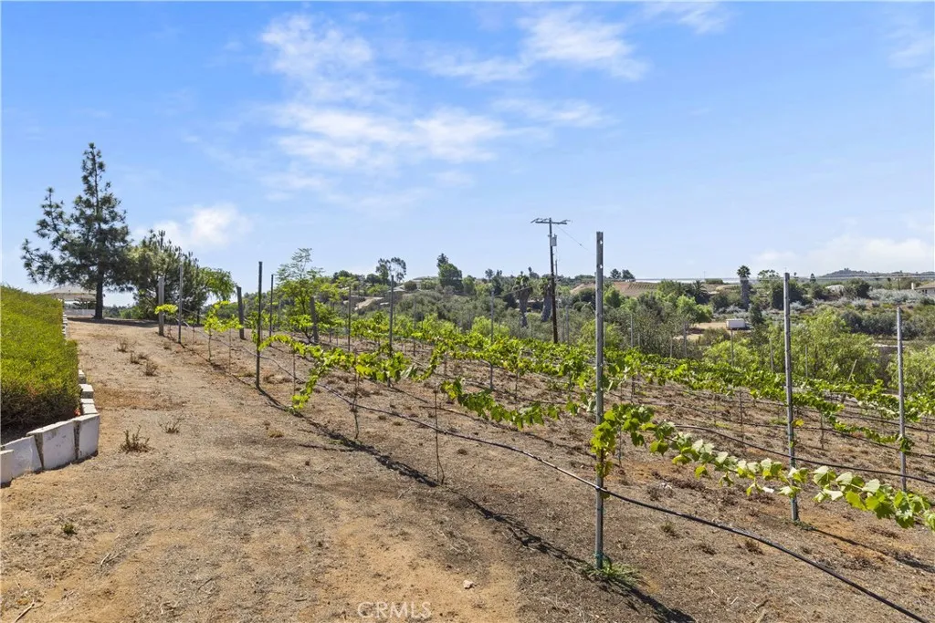 9914 W Lilac Road, Escondido, CA 92026 - Photo 2 of 50, Escondido, CA