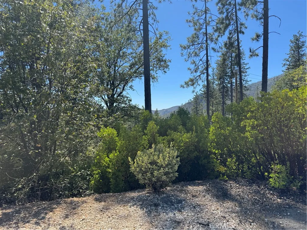 11721 Gifford Springs