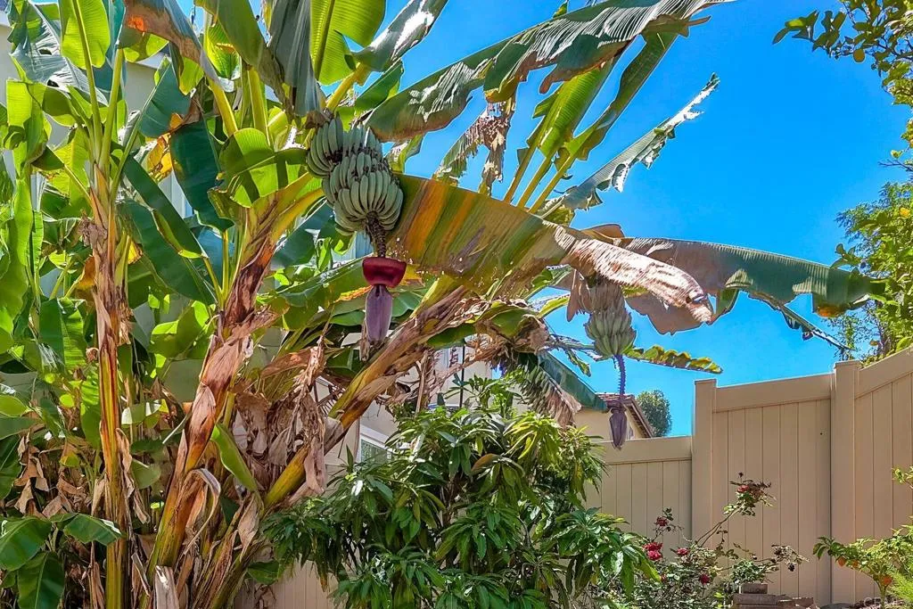 https://cdn.realtyfeed.com/cdn/127/307069270/f0e683ab2cdafebb16a90a7dac912041.webp