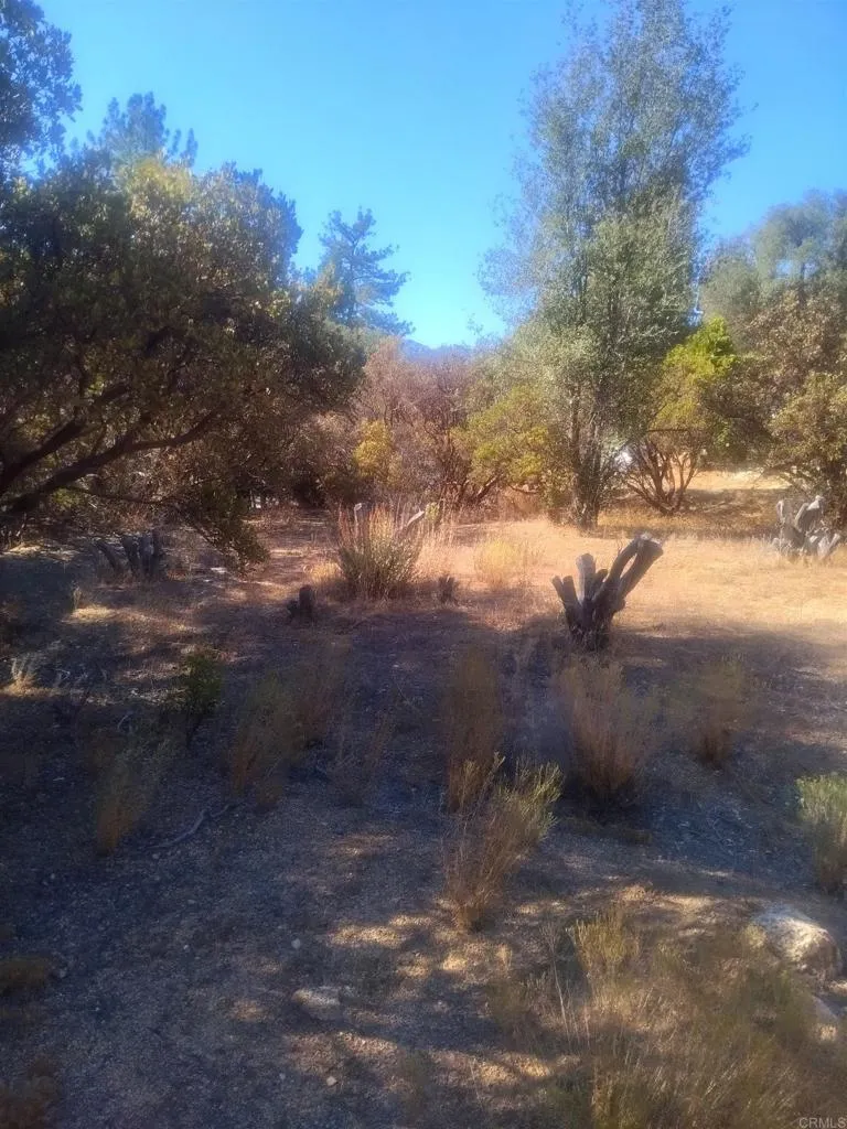 0 Valley View, Pine Valley, CA 91962 - Photo 3 of 5, Pine Valley, CA