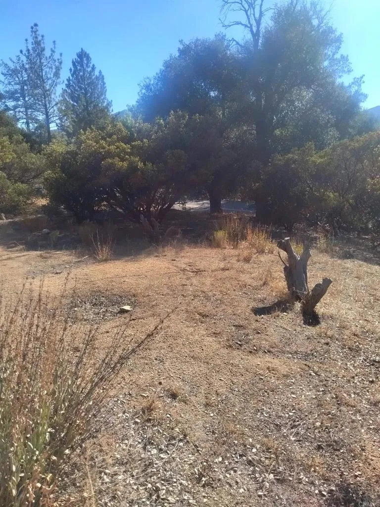 0 Valley View, Pine Valley, CA 91962 - Photo 4 of 5, Pine Valley, CA