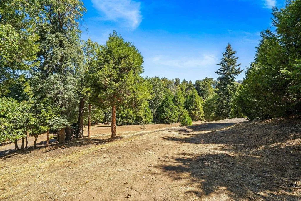22520 Greenfield, Palomar Mountain, CA 92060 - Photo 2 of 26, Palomar Mountain, CA