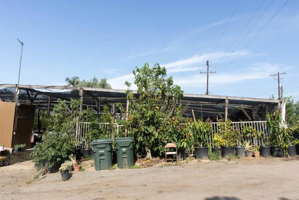 3129 Reche, Fallbrook, CA 92028 - Photo 4 of 36, Fallbrook, CA