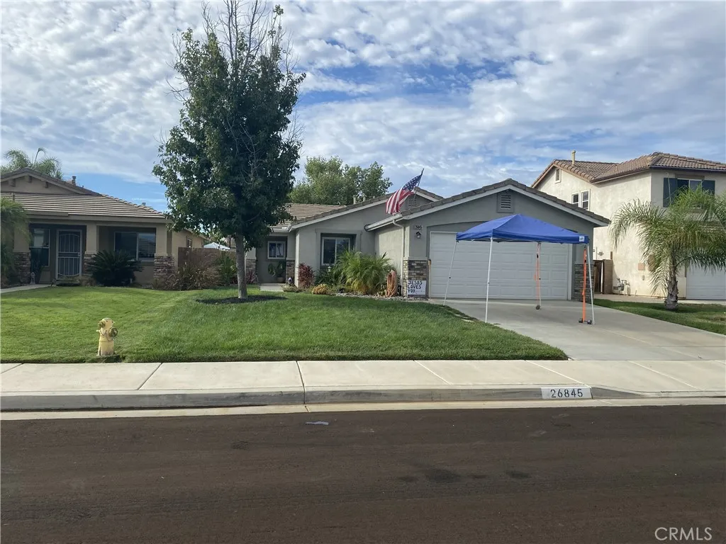 26845 Wildflower
