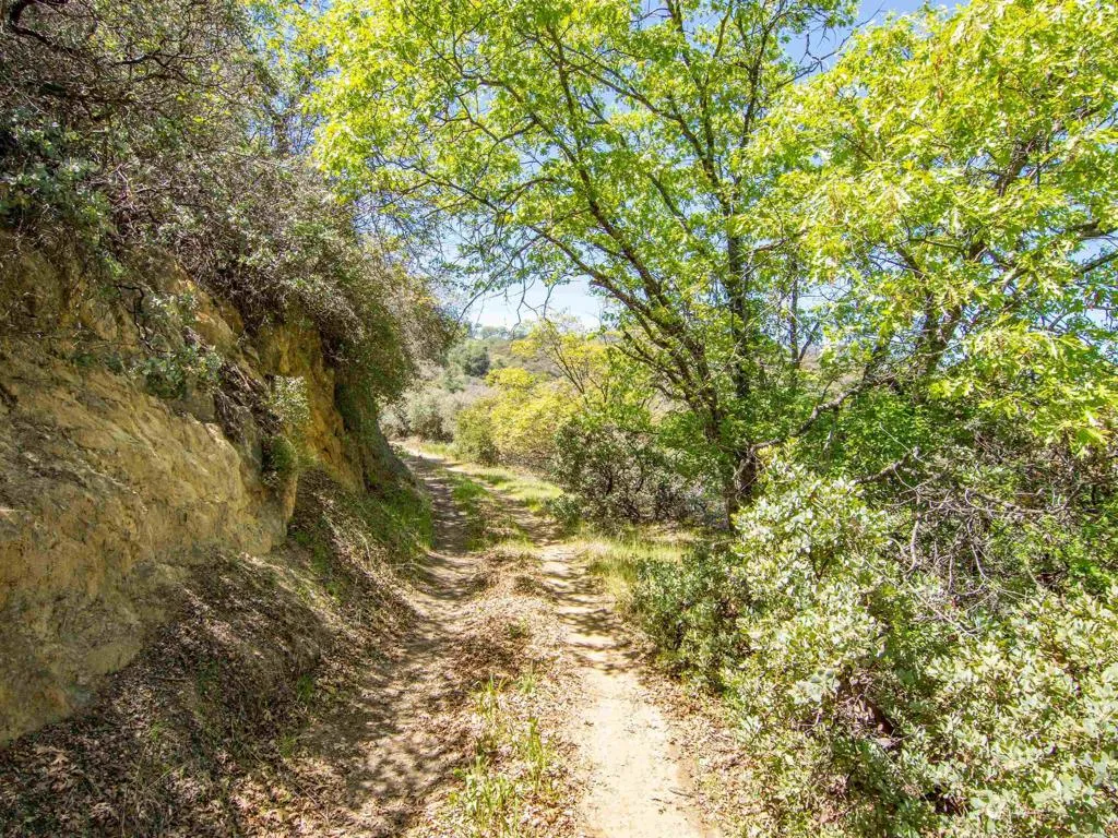17 Bobcat Trail, Santa Ysabel, CA 92070 - Photo 5 of 32, Santa Ysabel, CA