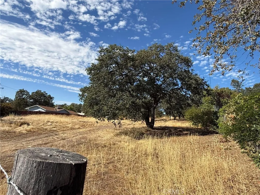 Oroville, CA 95966