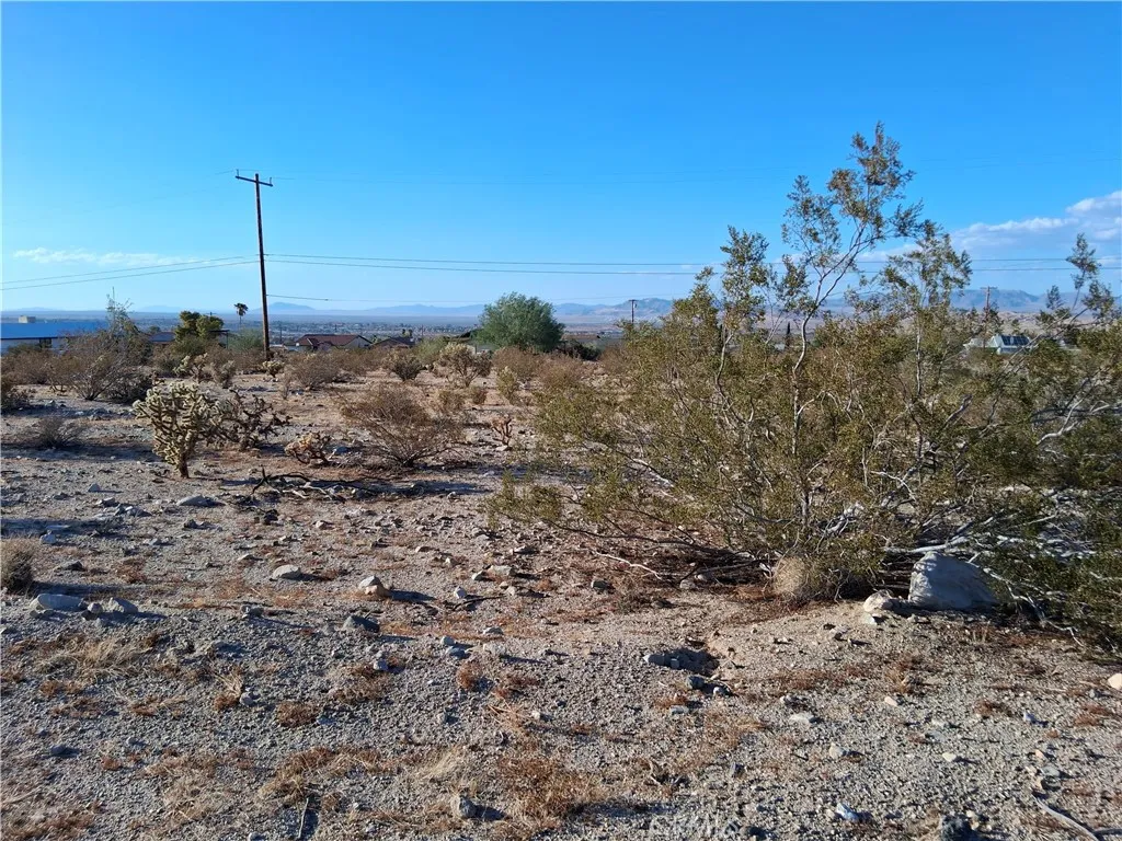 29 Palms, CA 92277
