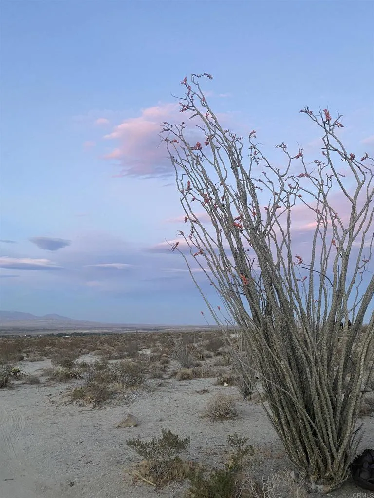 Rango Way, Borrego Springs, CA 92004 - Photo 4 of 12, Borrego Springs, CA