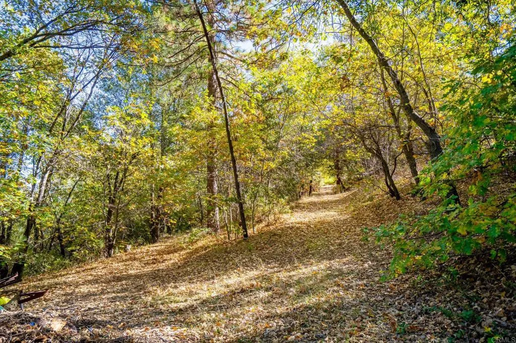 https://cdn.realtyfeed.com/cdn/127/307078177/7908514851072542c489bc9e2f59a042.webp