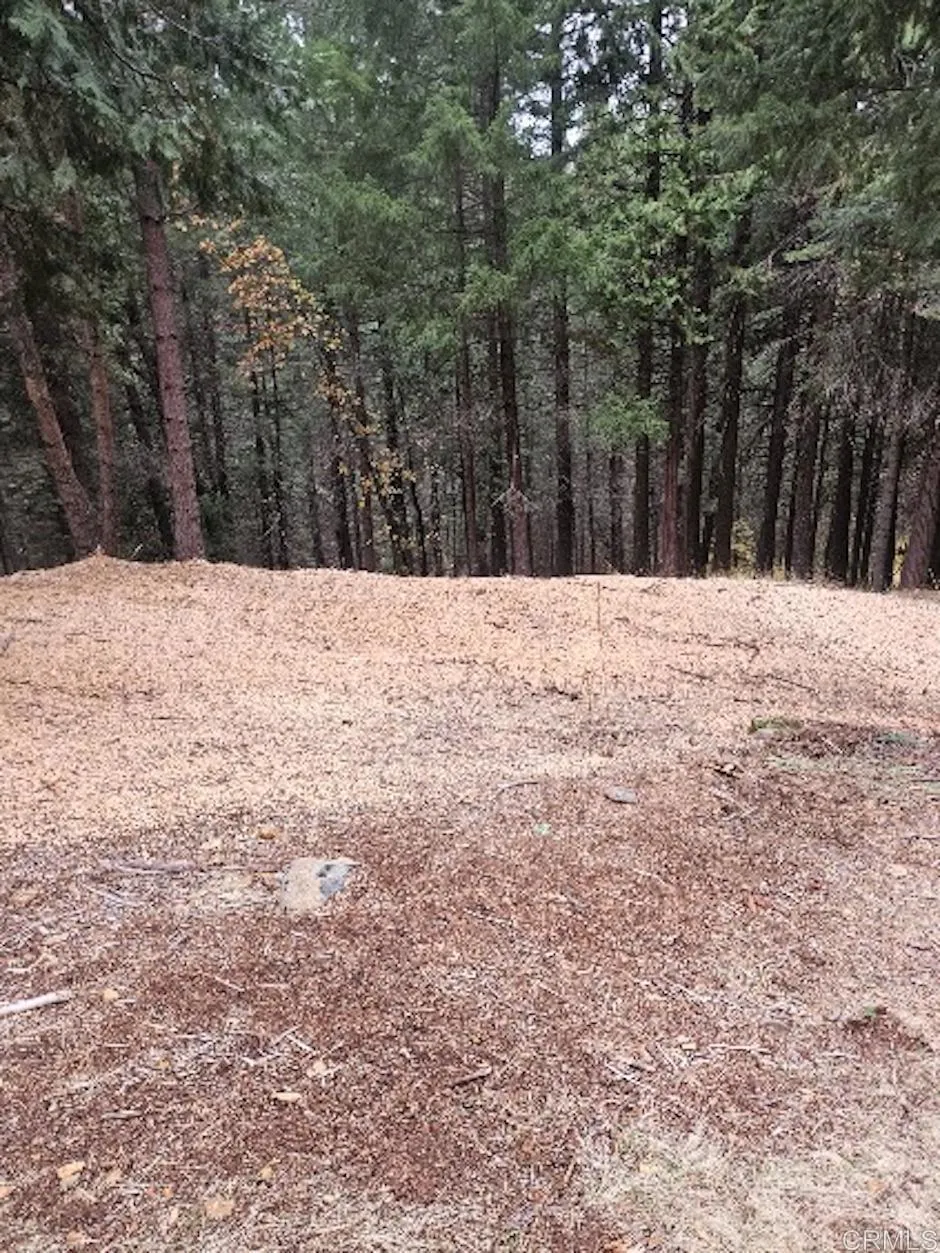 4952 Sierra Springs Drive, Pollock Pines, CA 95726 - Photo 2 of 3, Pollock Pines, CA