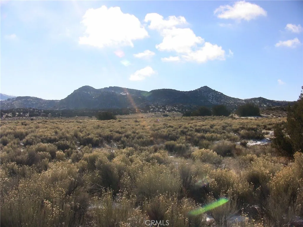 Tehachapi, CA 93561