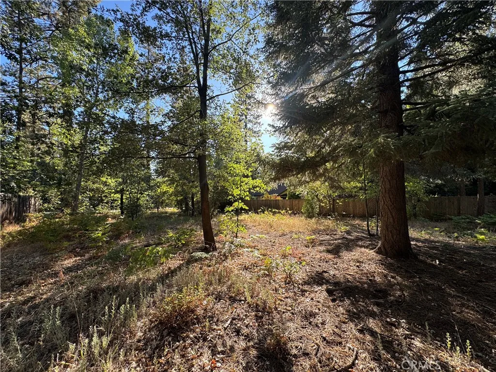 Idyllwild, CA 92549