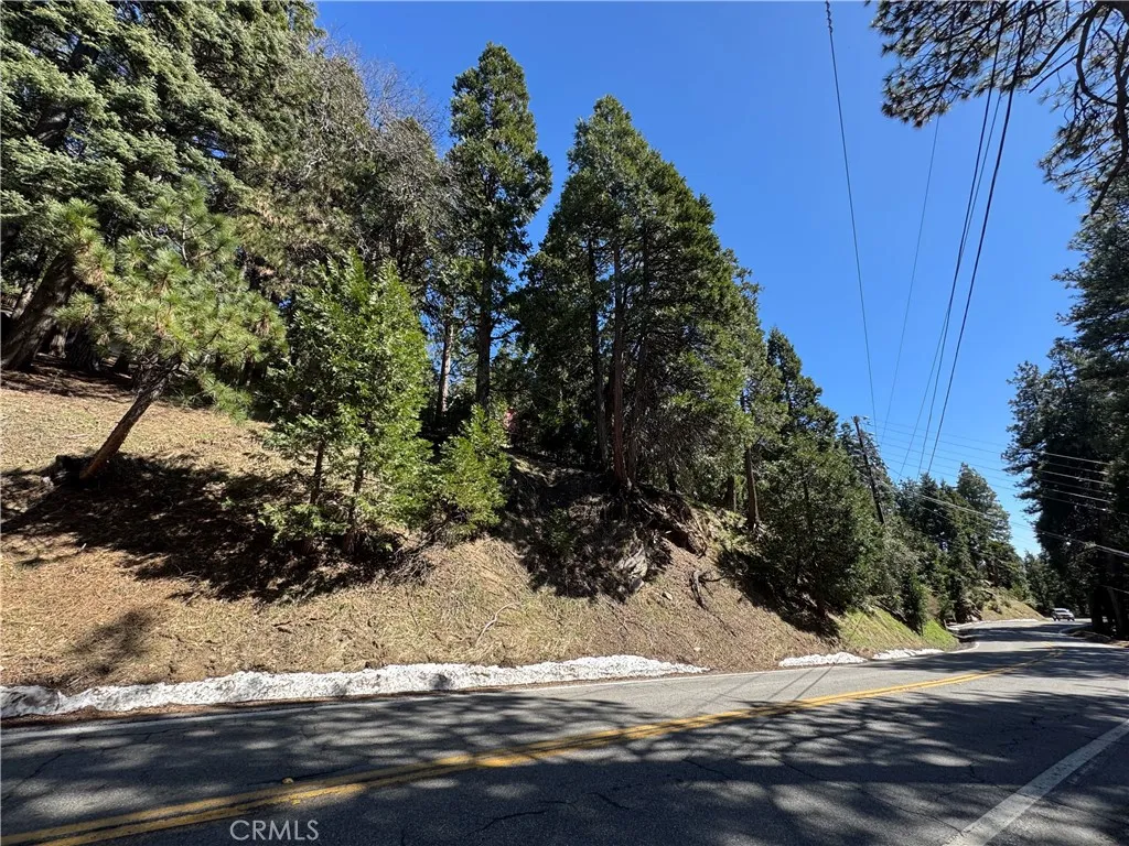 Twin Peaks, CA 92391