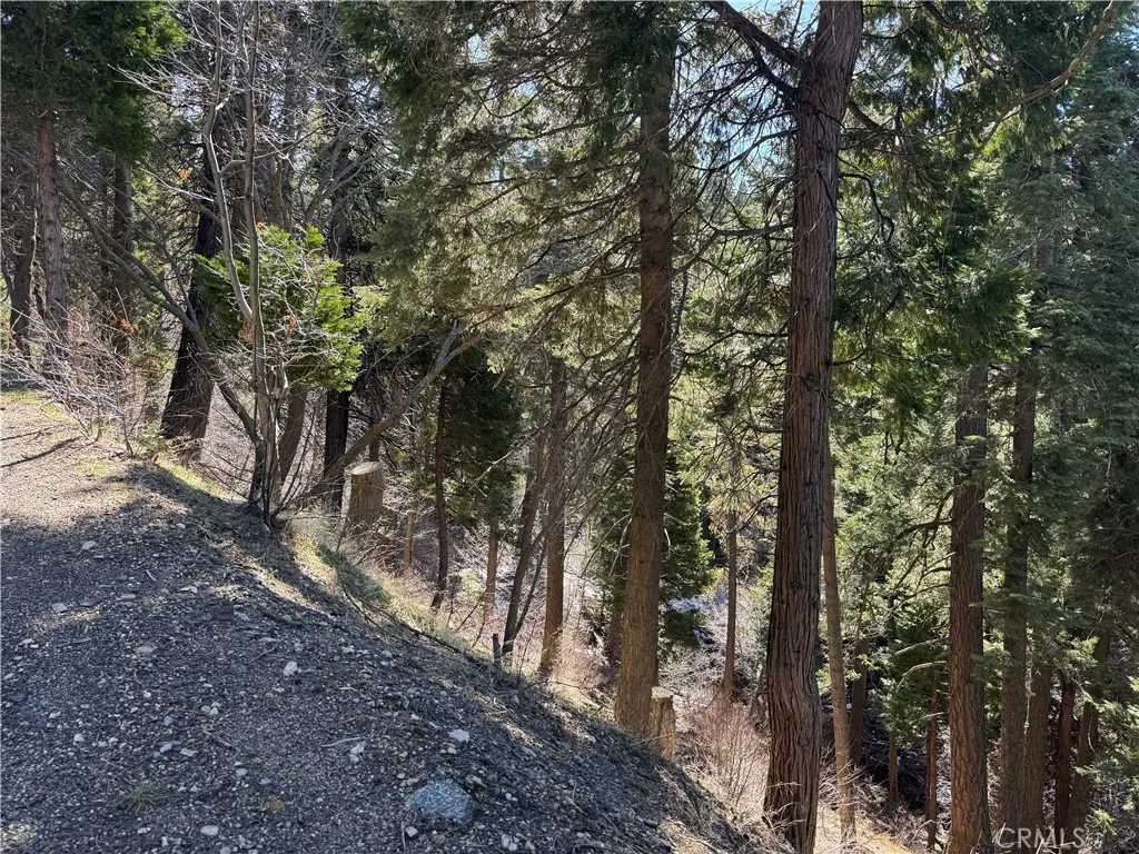 Lake Arrowhead, CA 92352