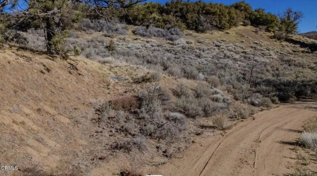 Tehachapi, CA 93561
