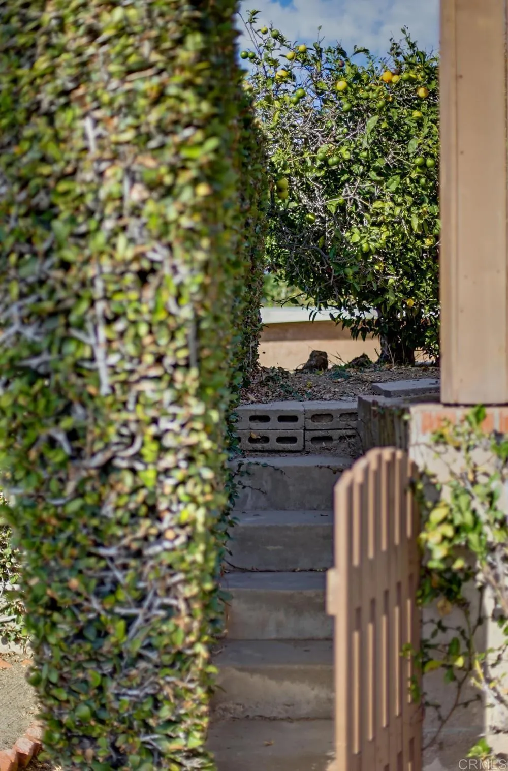 1005 Alexandria Dr, San Diego, CA 92107 1005 Alexandria Dr, San Diego, CA 92107