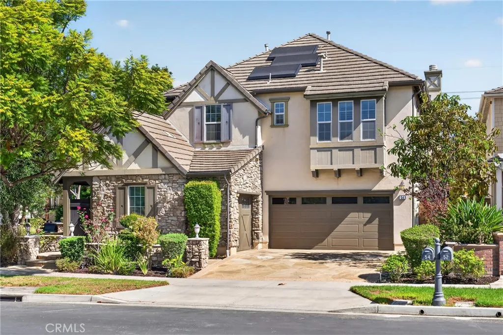 54 Desert Willow
