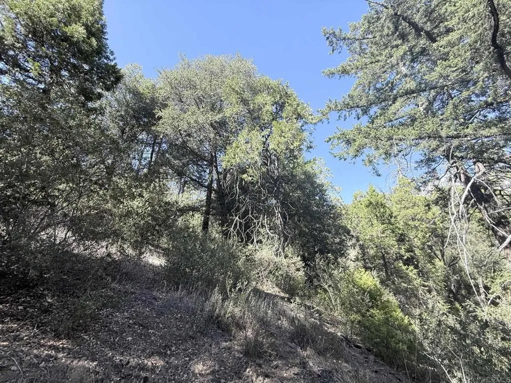 29 Acres East Grade, Palomar Mountain, CA 92060
