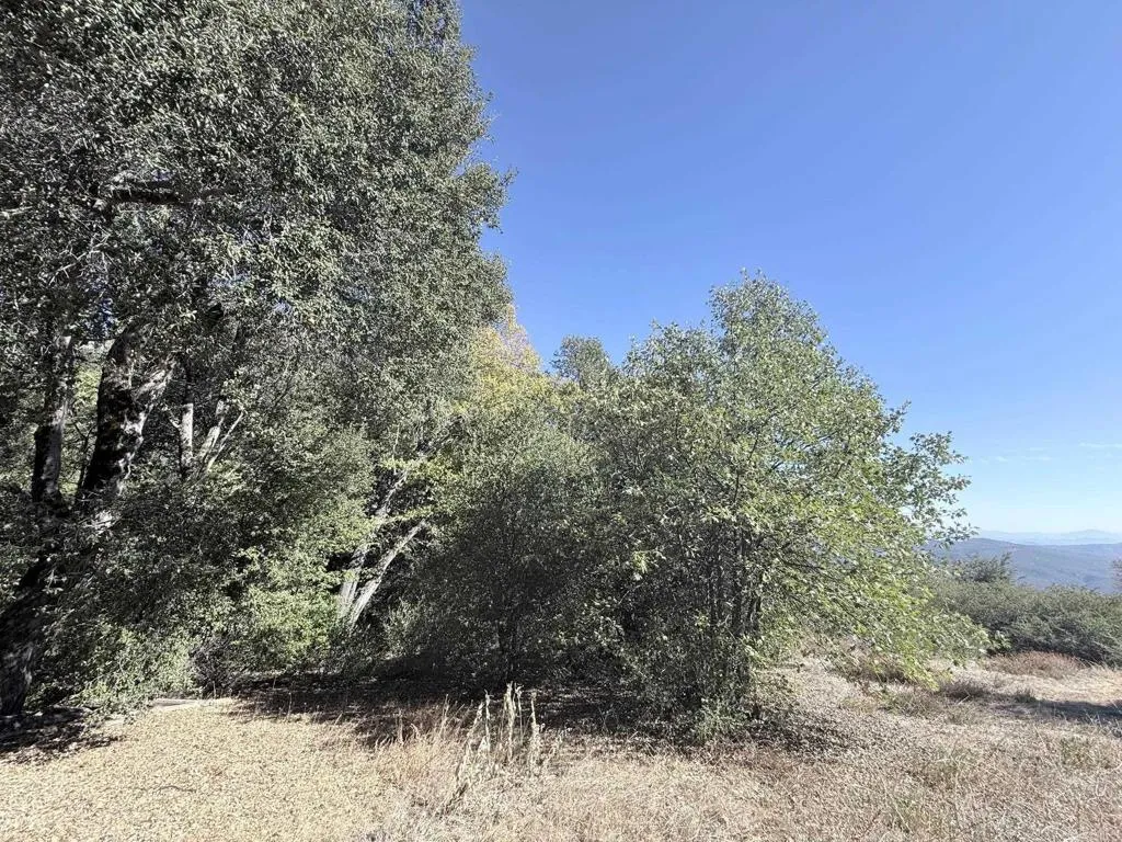 29 Acres East Grade, Palomar Mountain, CA 92060
