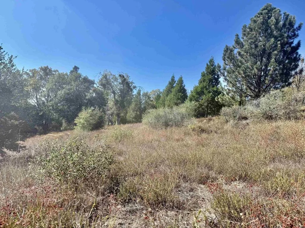 29 Acres East Grade, Palomar Mountain, CA 92060