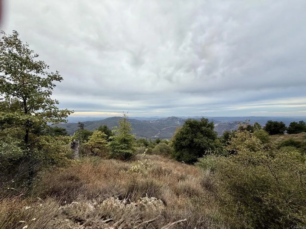29 Acres East Grade, Palomar Mountain, CA 92060