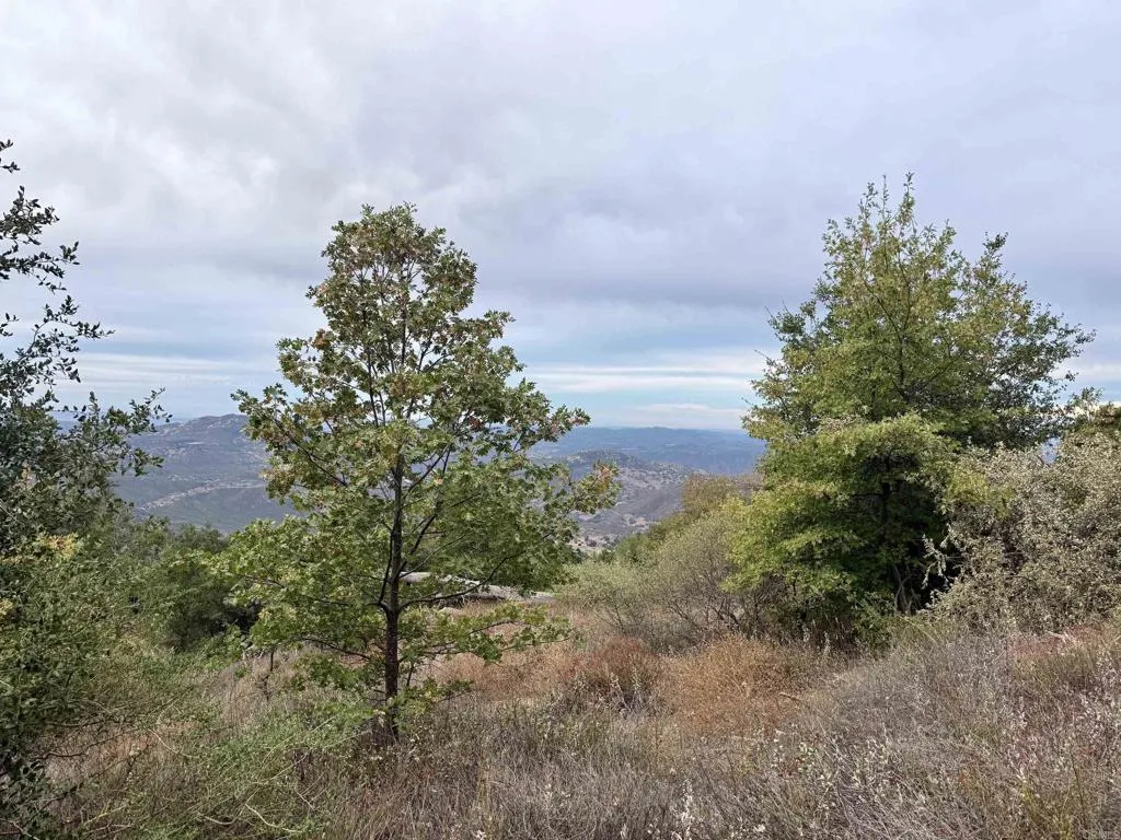 29 Acres East Grade, Palomar Mountain, CA 92060