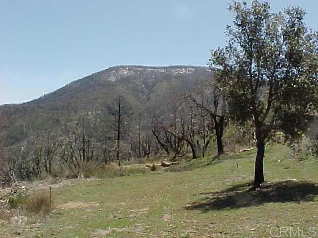 Penstemon Rd, Julian, CA 92036 - Photo 3 of 4, Julian, CA
