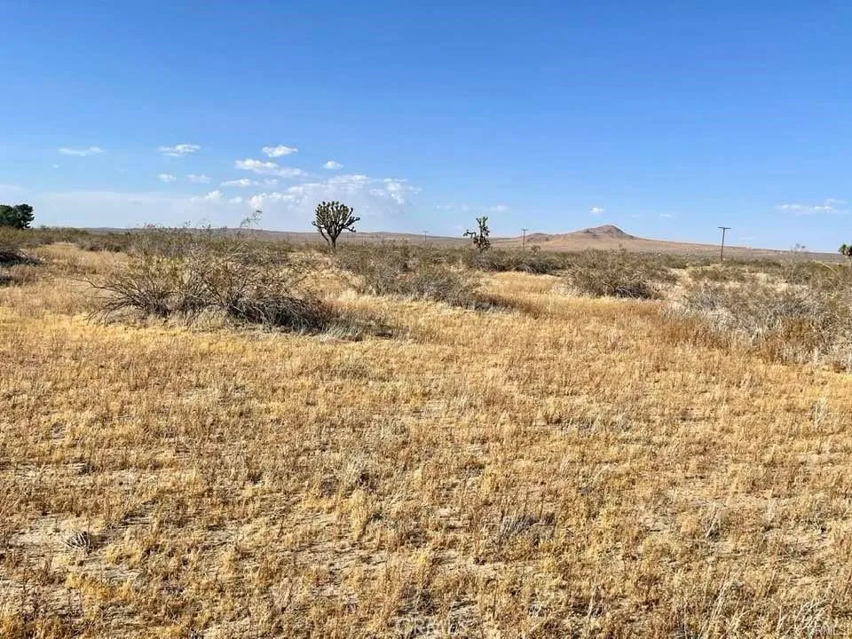 Lancaster, CA 93535