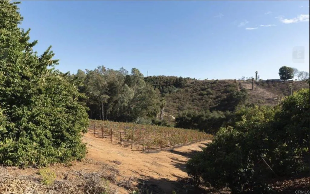 11155 San Antonio Way, Valley Center, CA 92082