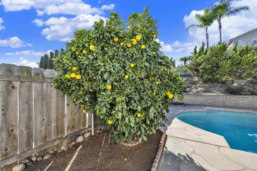 10432 Timberlane Way, Santee, CA 92071