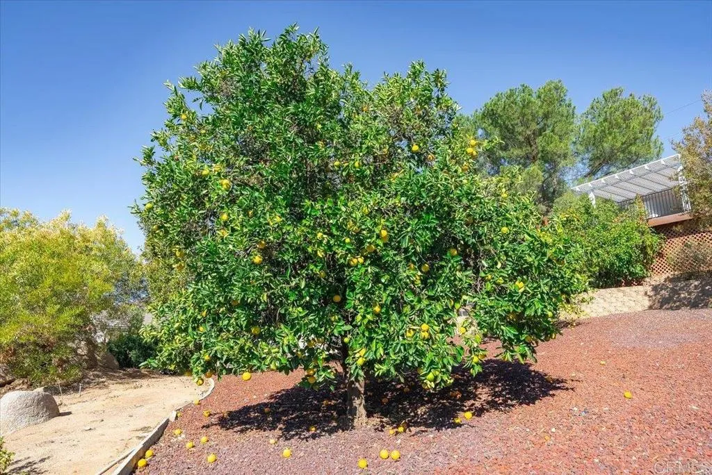 24360 Rutherford Road, Ramona, CA 92065 24360 Rutherford Road, Ramona, CA 92065