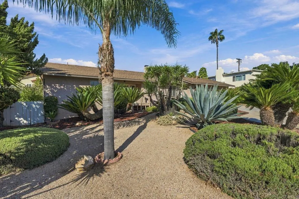 817 Crescent Drive, Vista, CA 92084 Front yard