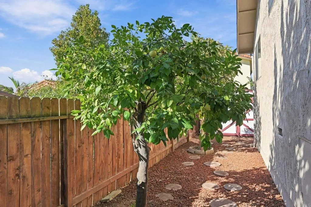817 Crescent Drive, Vista, CA 92084 Side Yard