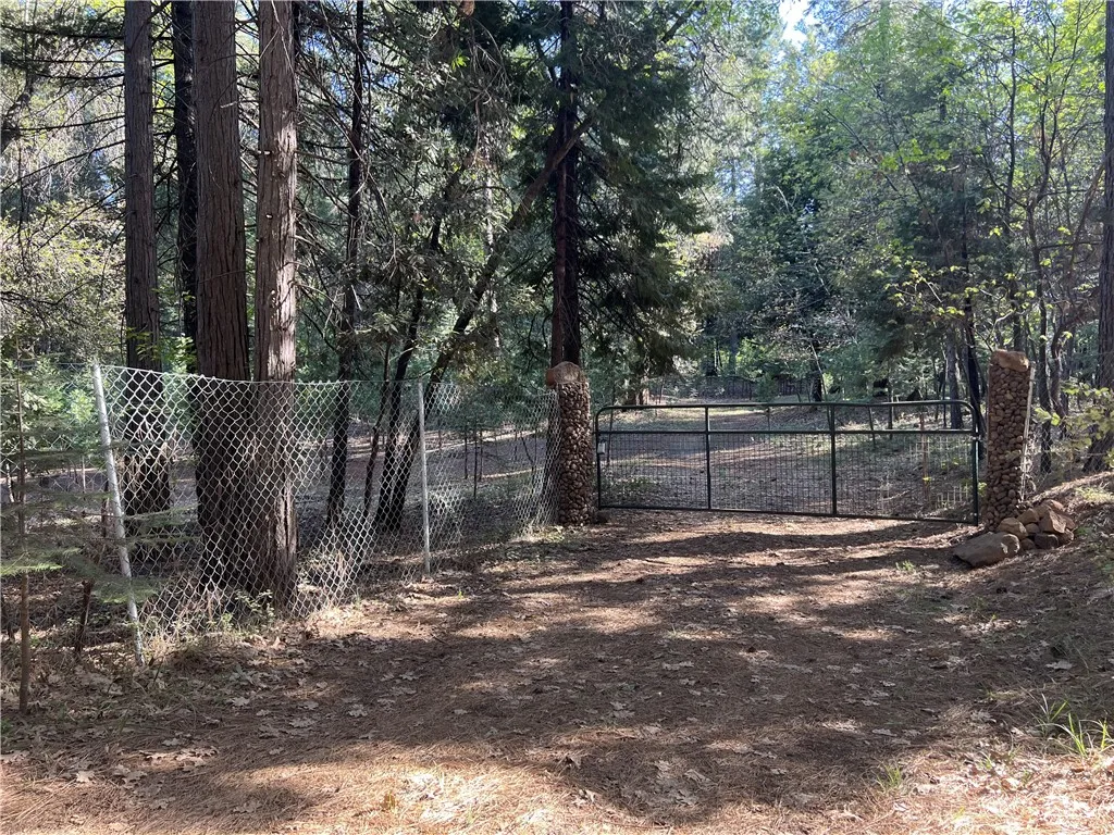Forest Ranch, CA 95942