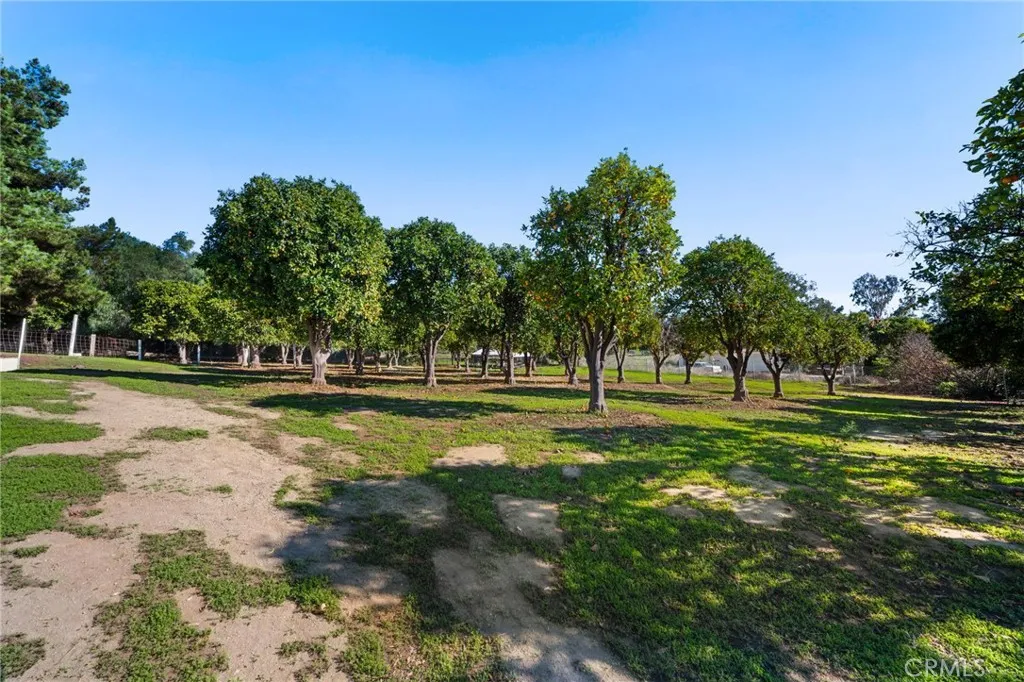 40789 Rock Mountain, Fallbrook, CA 92028 40789 Rock Mountain, Fallbrook, CA 92028