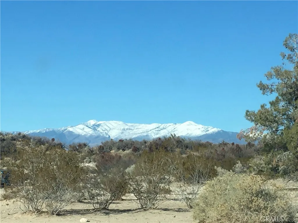 Unincorporated, CA 92309
