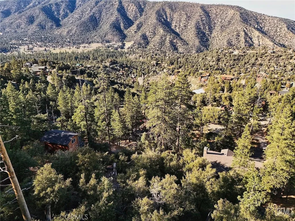 Pine Mountain Club, CA 93222
