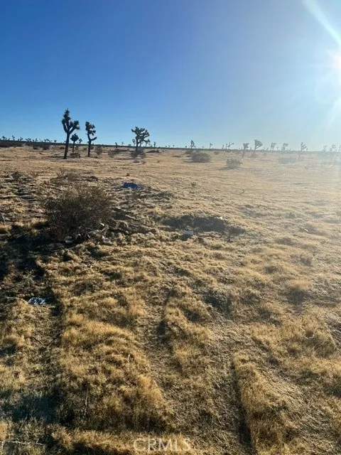 Lancaster, CA 93535