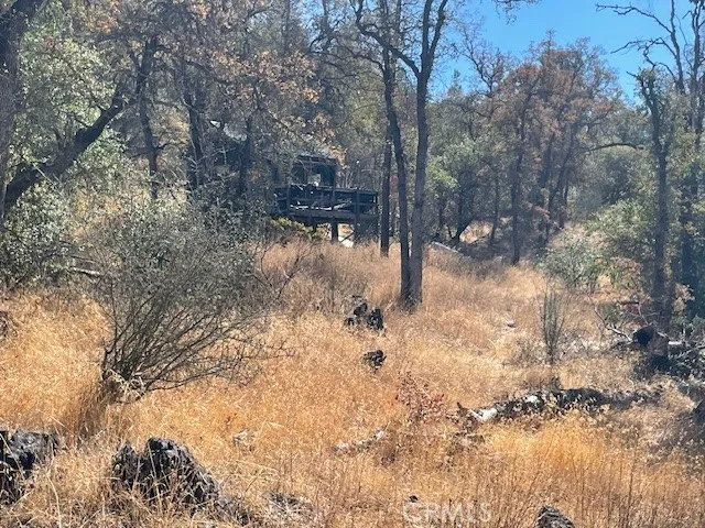 Honcut, CA 95965