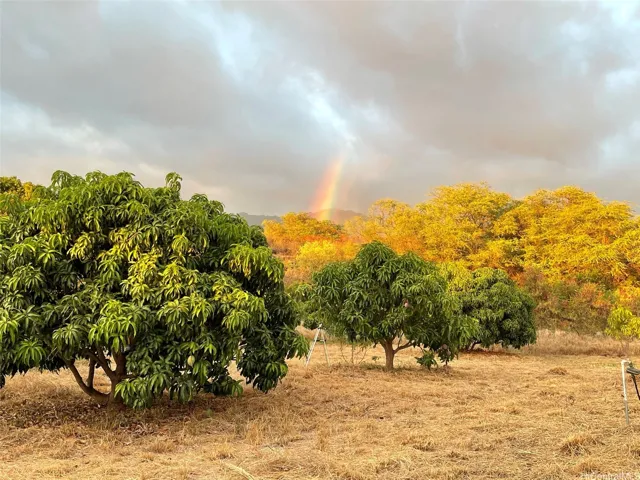 Rainbow!