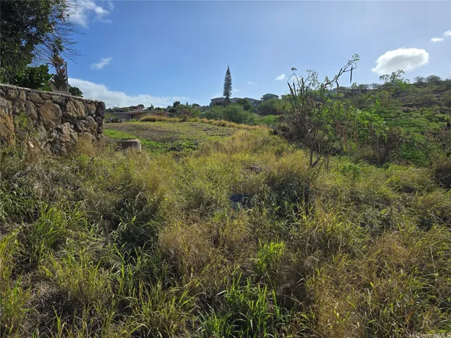 Bottom of hill, looking at potential 2 homes on top of the hill