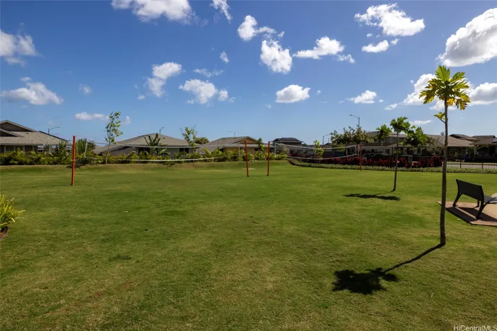 volleyball - park