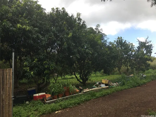 TREE FRUIT FARM