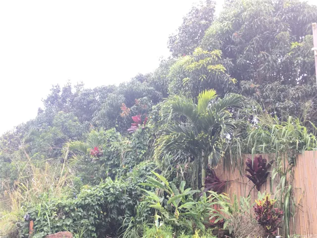 LOOKING OUTSIDE DOWN THE ACRE FRONTAGE