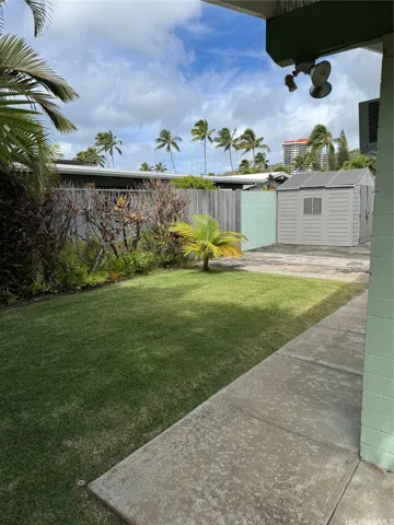 Backyard